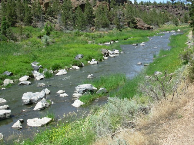 Summer '06 Sunriver 409 